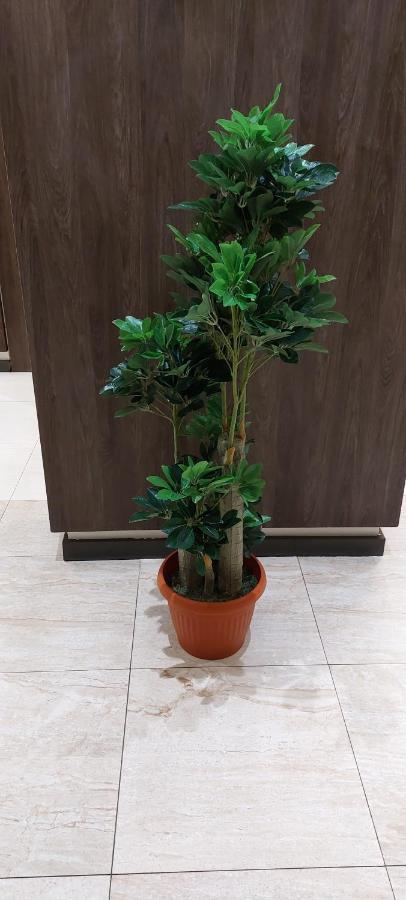 همم للوحدات السكنية - الرحيلي Jeddah Al Kura Buitenkant foto